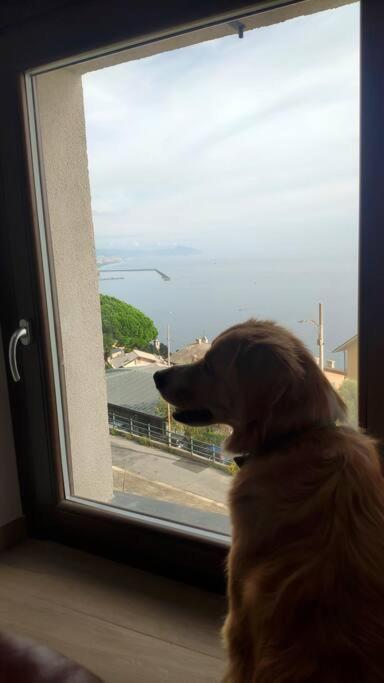 La Mansarda Di Crevari Apartment Genoa